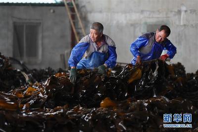 辽宁长海 海洋牧场迎来丰收季，线上线下销售两旺