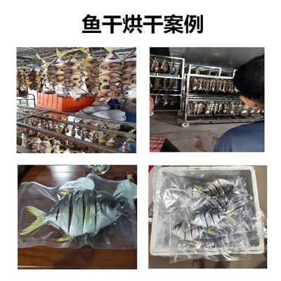 水产品烘干机 高效加工鱼干与虾干的现代化解决方案