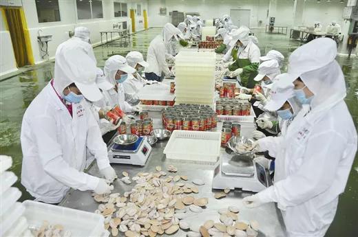 金花茶香飘边陲，海陆门户涌商机——探访活力迸发的东兴边境经济合作区