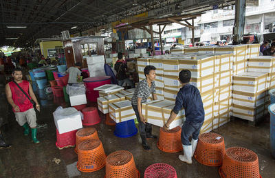 泰国海产品工厂雇黑工 每日工作16小时(高清组图) 销售