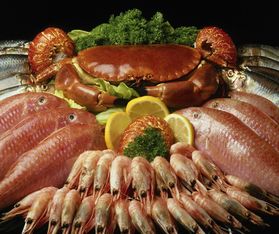 海产品加工废水治理挑战与解决方案概述