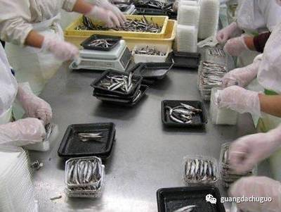 光大出国 把握机遇，成就未来——北海道海产与丰田汽车零部件加工项目再启航