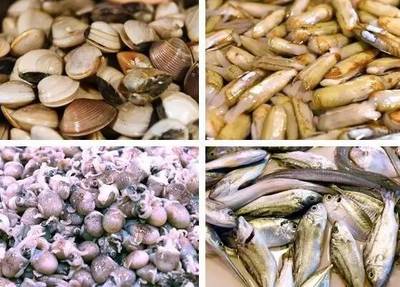 食品安全警钟 遂溪海产品加工事件反思与行业规范重建