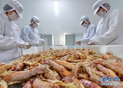 河北曹妃甸 冬日加工海鲜忙 销售