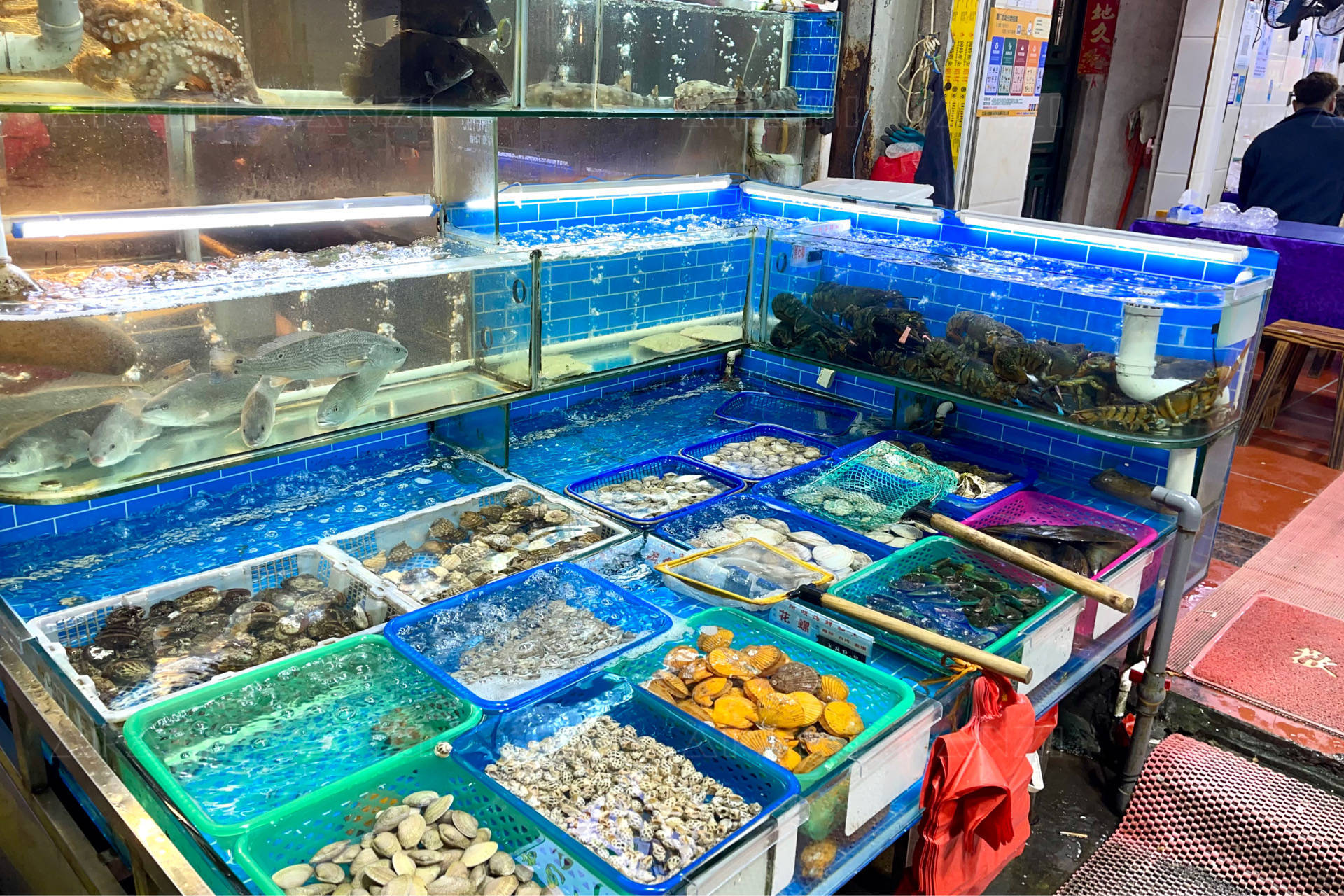 厦门八市里的珍馐 镶金包银养殖巴浪鱼，海鲜加工店的独特风味